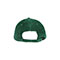 suede-cap-2004-D.GRN-back