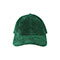 suede-cap-2004-D.GRN-front