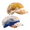girl-s-newsboy-cap-6572XY-ASSORT