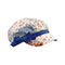 girl-s-newsboy-cap-6572XY