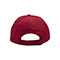 usa-cap-7643-RED-back