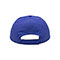 usa-cap-7643-ROYAL-back