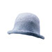 ladies-fashion-hat-2809