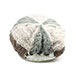 infinity-selections-ladies-fashion-knit-hat-5066-back