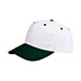pro-style-twill-cap-6901-WT-D.GRN