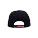 6-panel-cotton-twill-washed-usa-cap-6993F-back