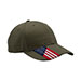 usa-cap-7643-OLIVE