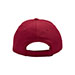 usa-cap-7643-RED-back