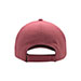 performance-cap-7645-ROSE-back