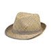 fashion-fedora-hat-8197